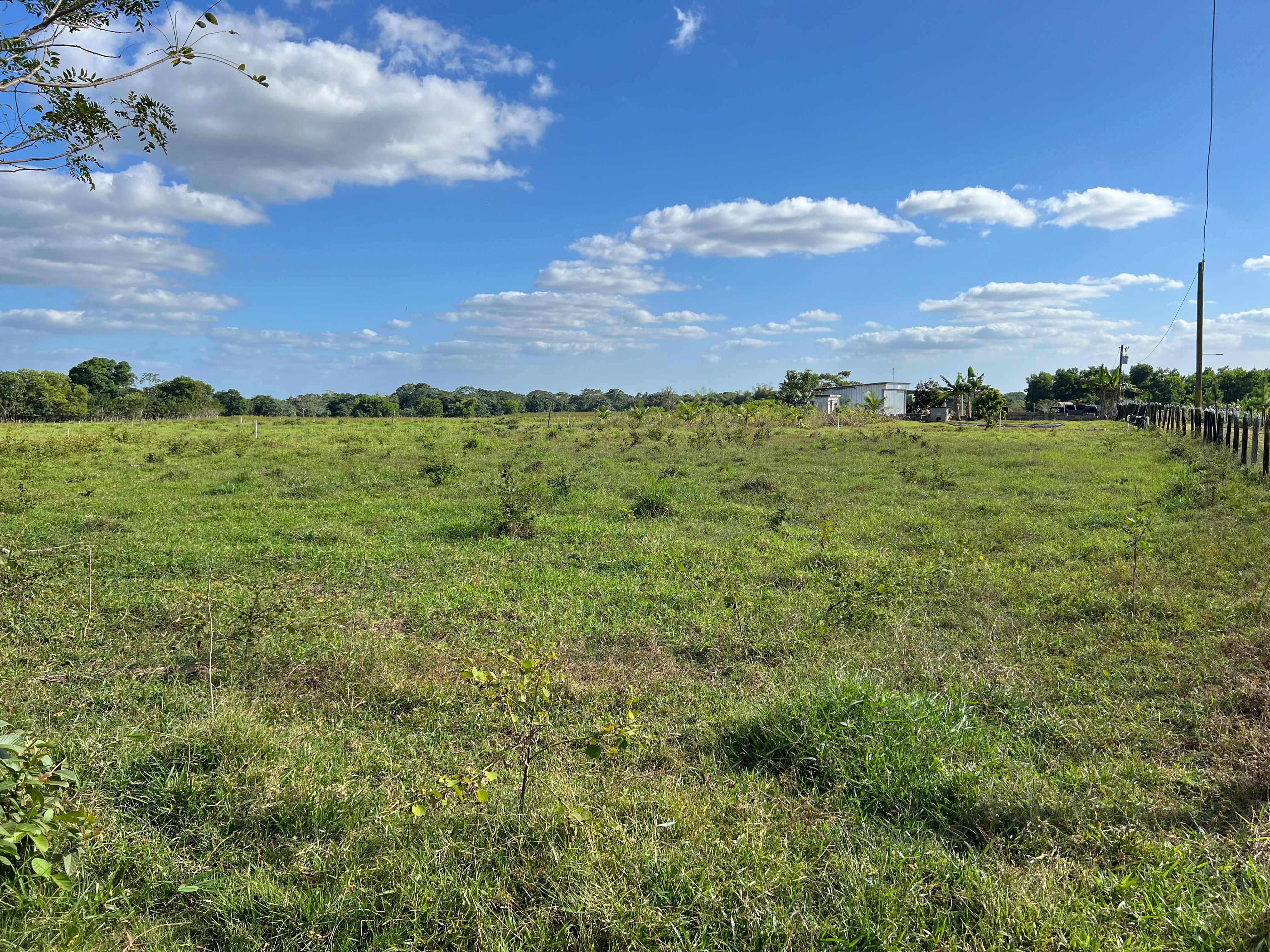 solares y terrenos - Finca GANADERA – AGRICOLA, de 386 tareas, con la major Ubicacion de Monte Plata 7