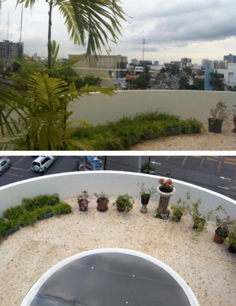 oficinas y locales comerciales - Edificio completo en renta en Ensanche Naco 5