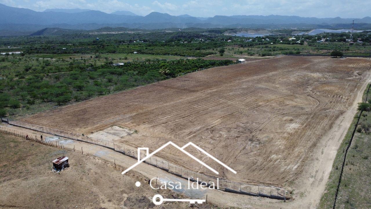 solares y terrenos - tierra lista para siembra las tablas Bani 90 tareas  3
