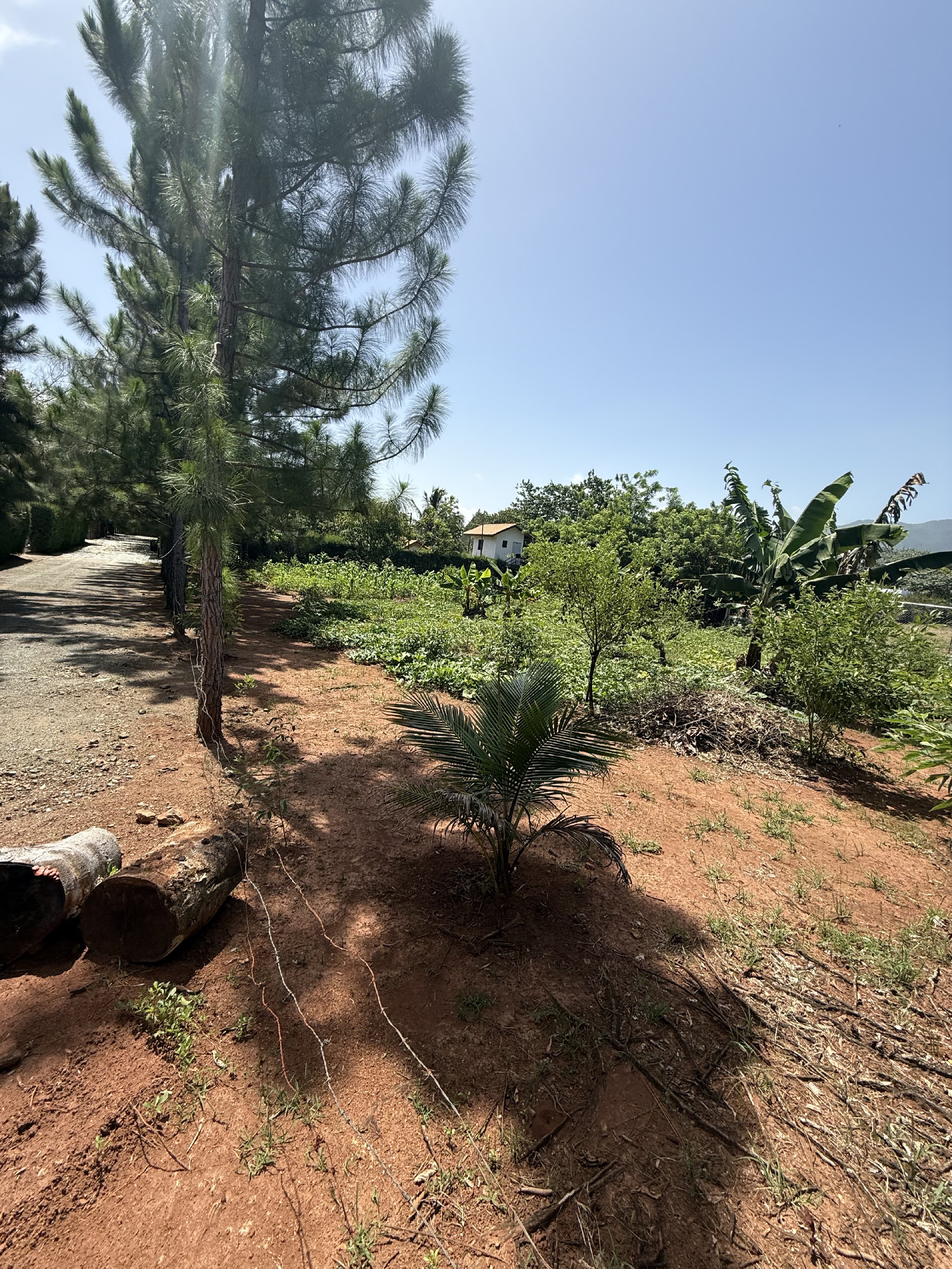 solares y terrenos - hermoso solar en venta jarabacoa a pocos minutos de la ciudad  3