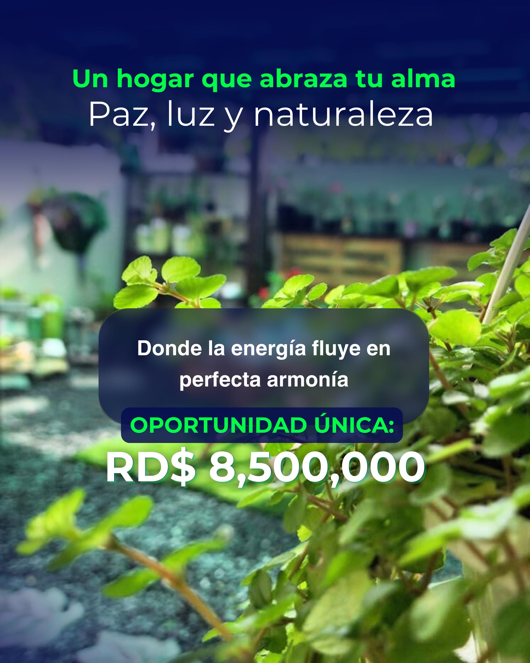 habitaciones y viviendas compartidas - Casa de oportunidad con doble función. 1