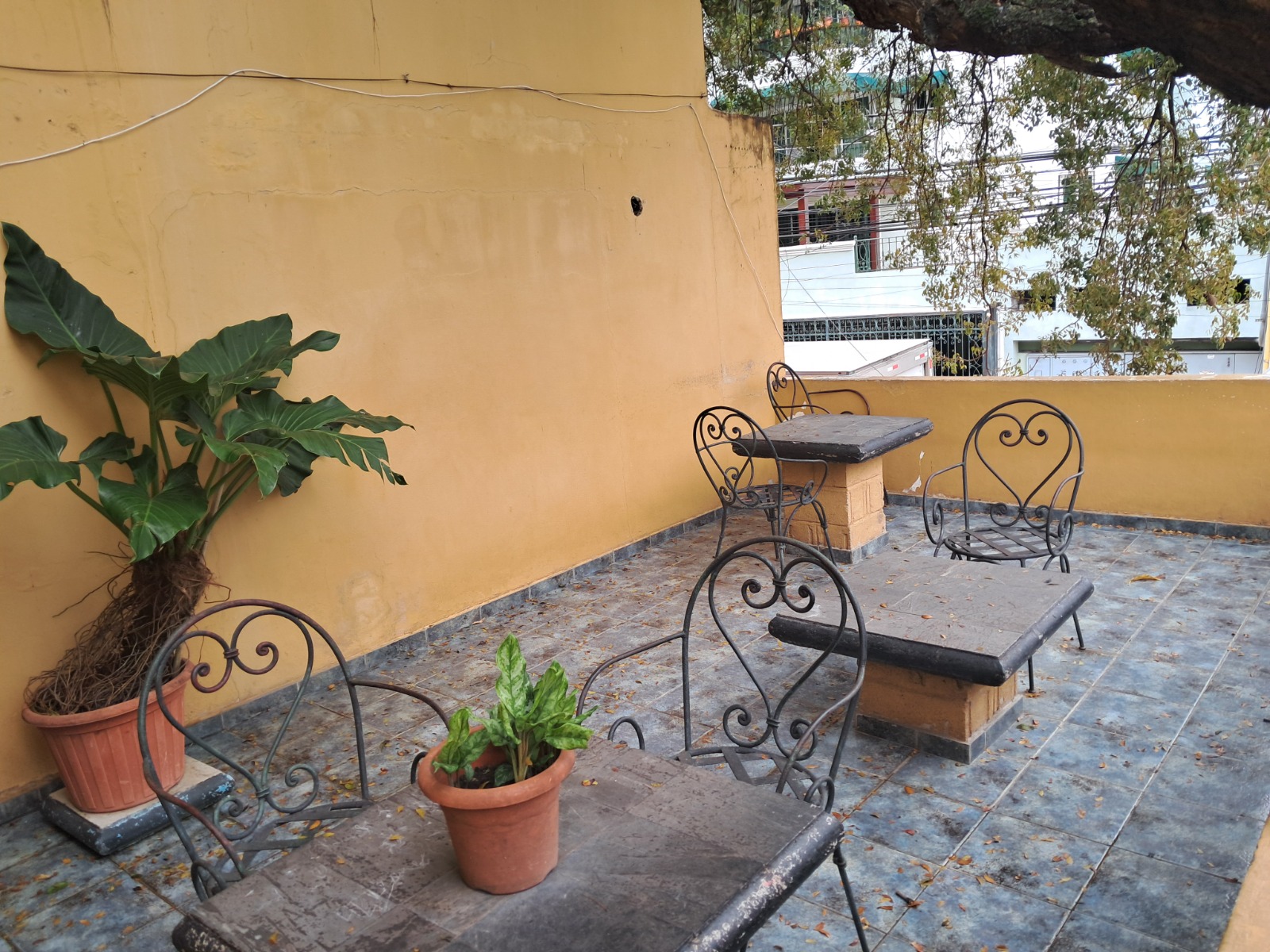 apartamentos - Aparta estudio amueblado en evaristo morales  3
