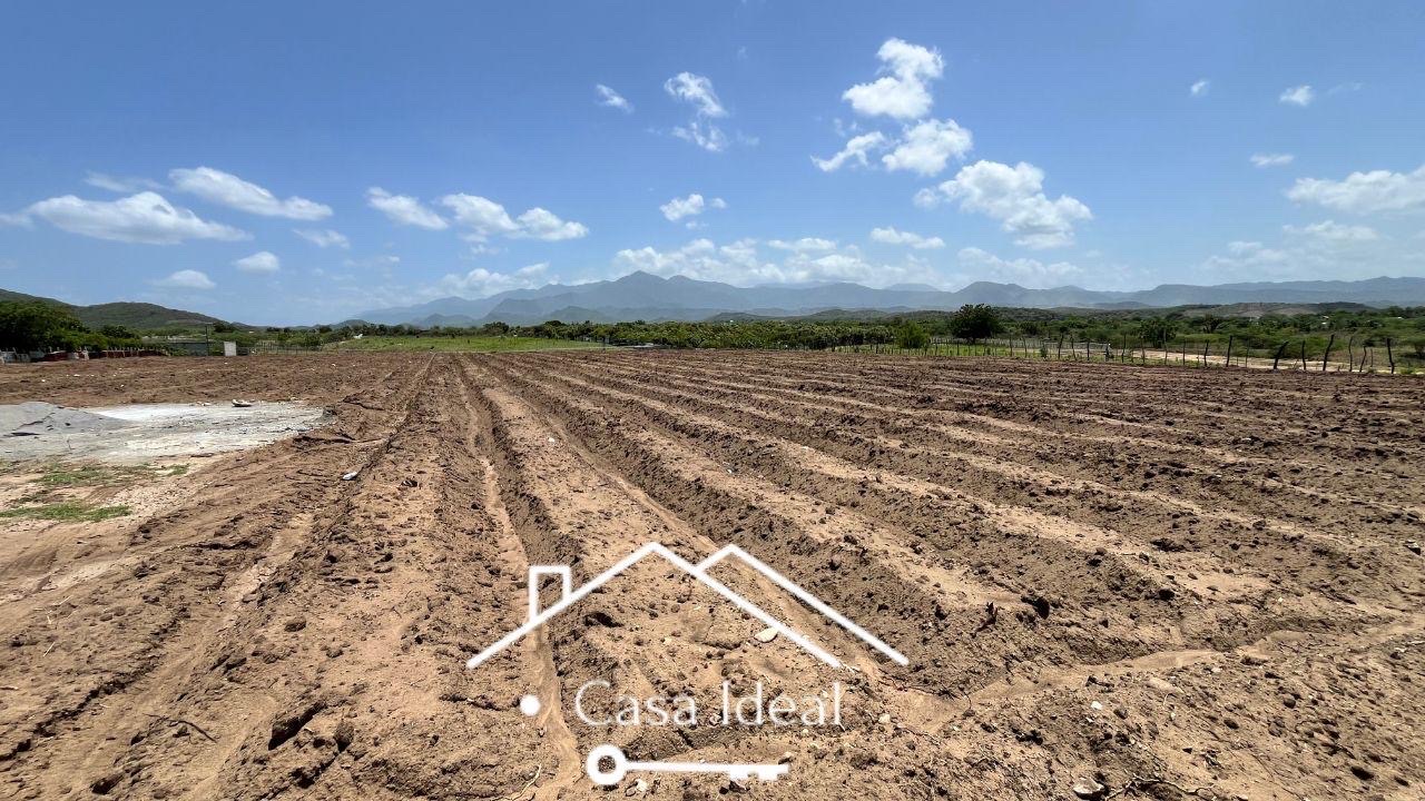 solares y terrenos - tierra lista para siembra las tablas Bani 90 tareas  4