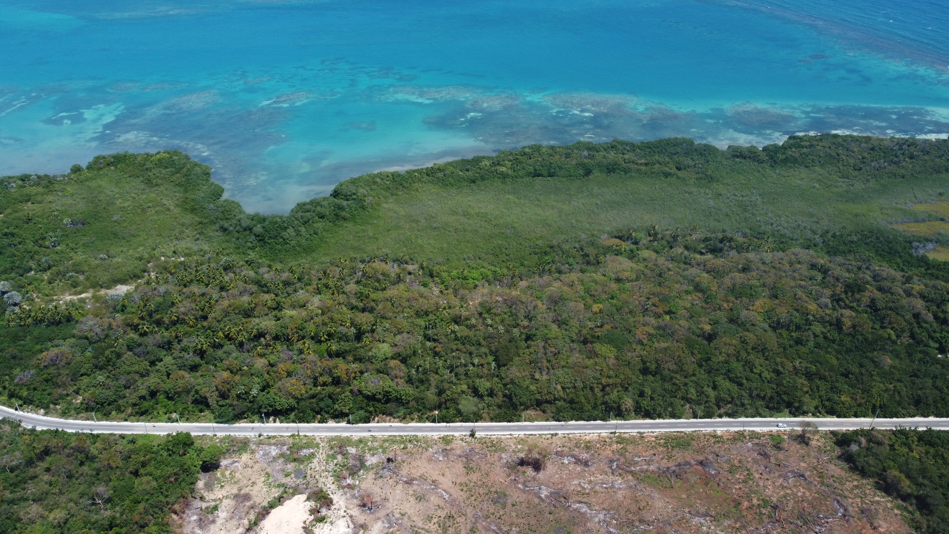solares y terrenos - Vendo propiedad en Cocal de Barahona 0