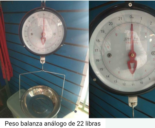 electrodomesticos - Peso balanza de aguja 1