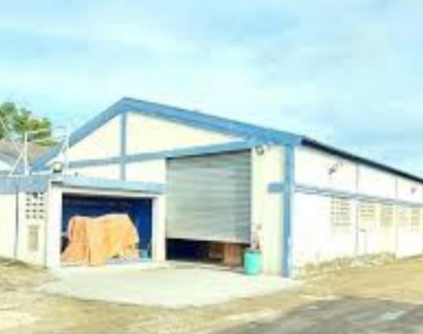 oficinas y locales comerciales -  NAVE INDUSTRIAL  Av. Isabel Aguiar SDO  3