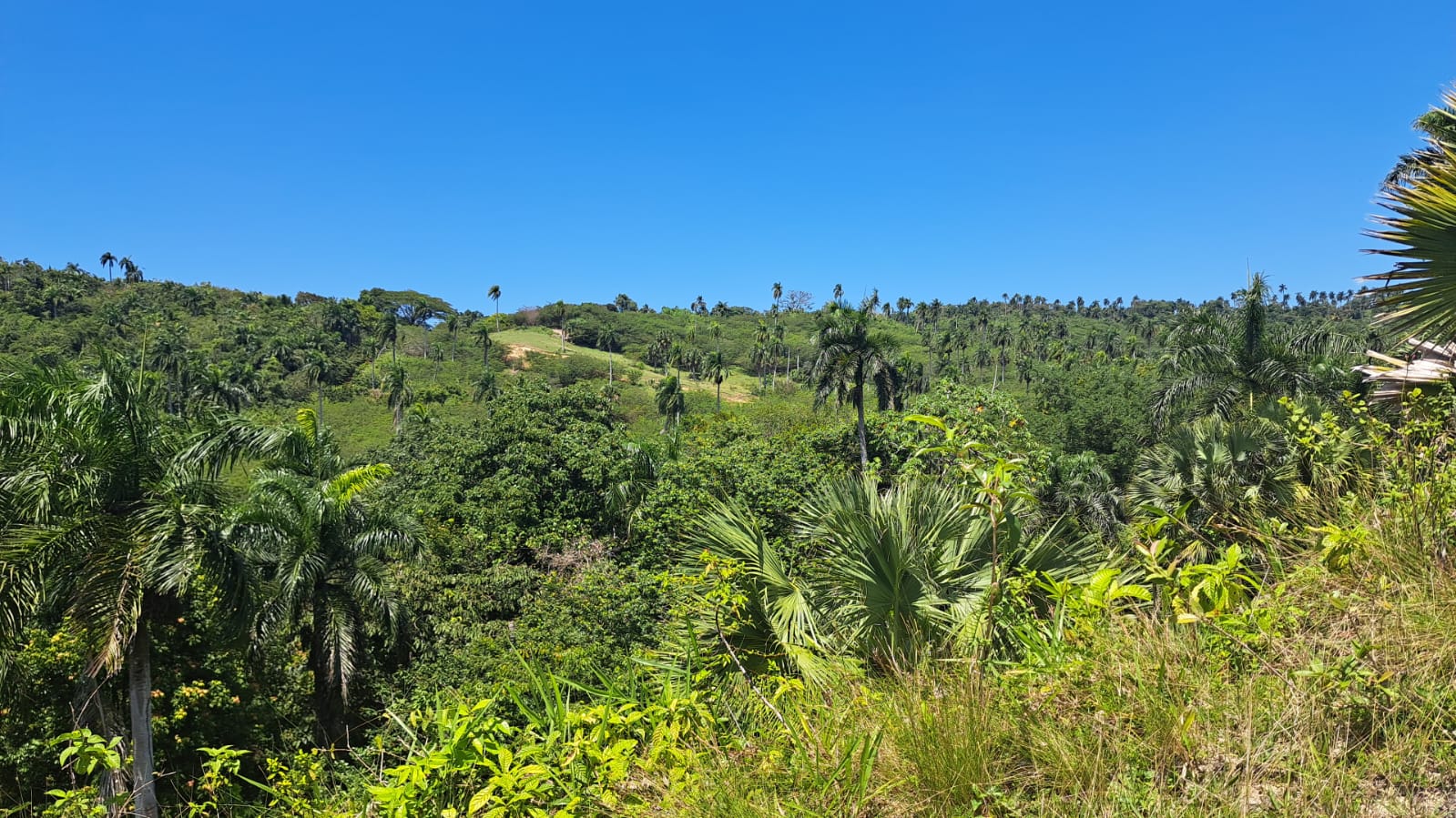 solares y terrenos -  Vive en armonía con la naturaleza en La Reserva 1