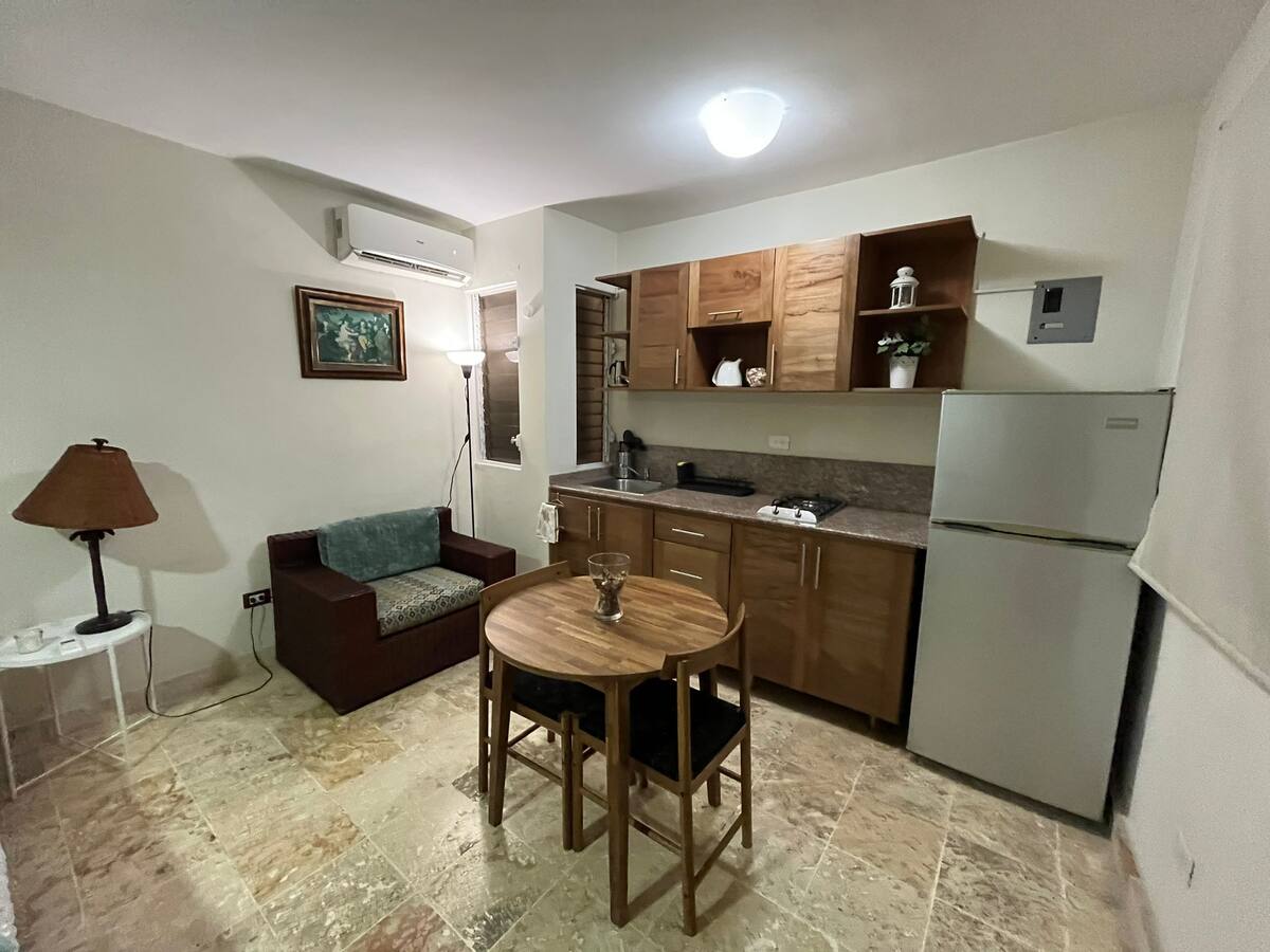 apartamentos - Alquiler Estudio, Zona Colonial, Santo Domingo 0