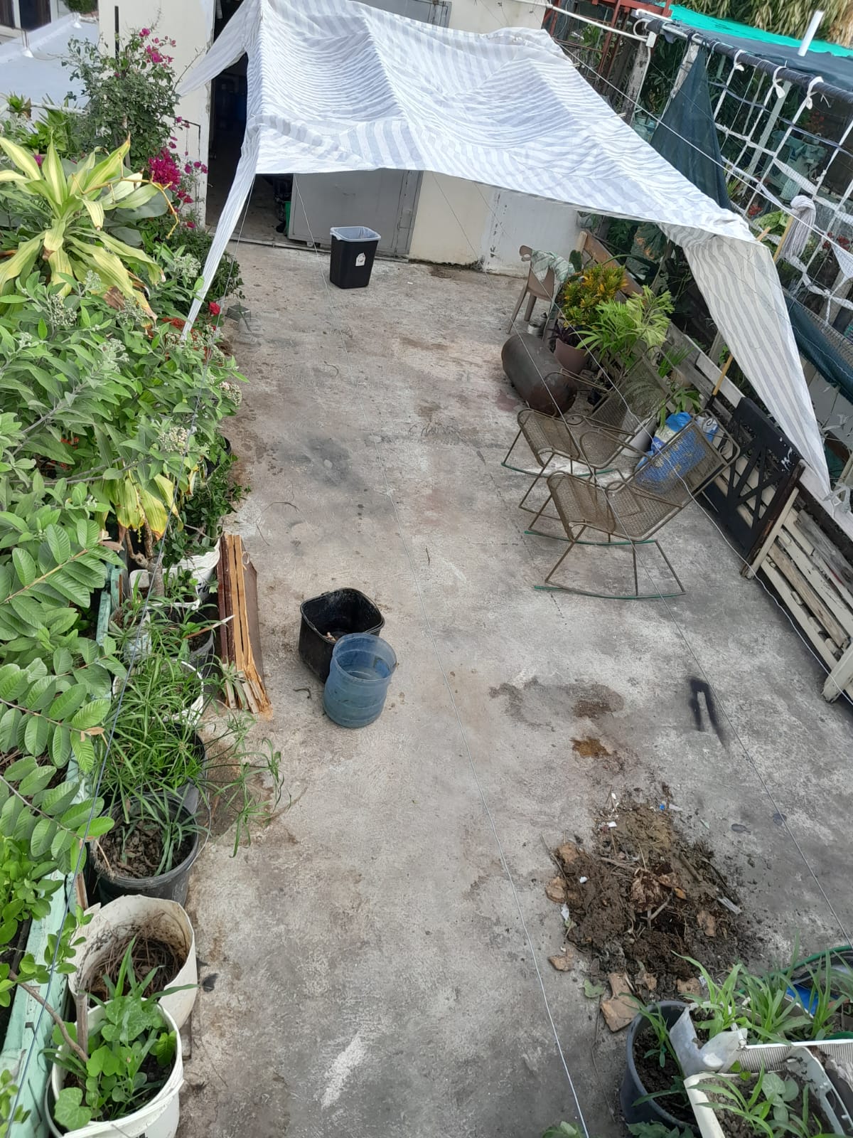 herramientas, jardines y exterior - ENVIROSHADE- Toldo, carpa rectangular con tela 0